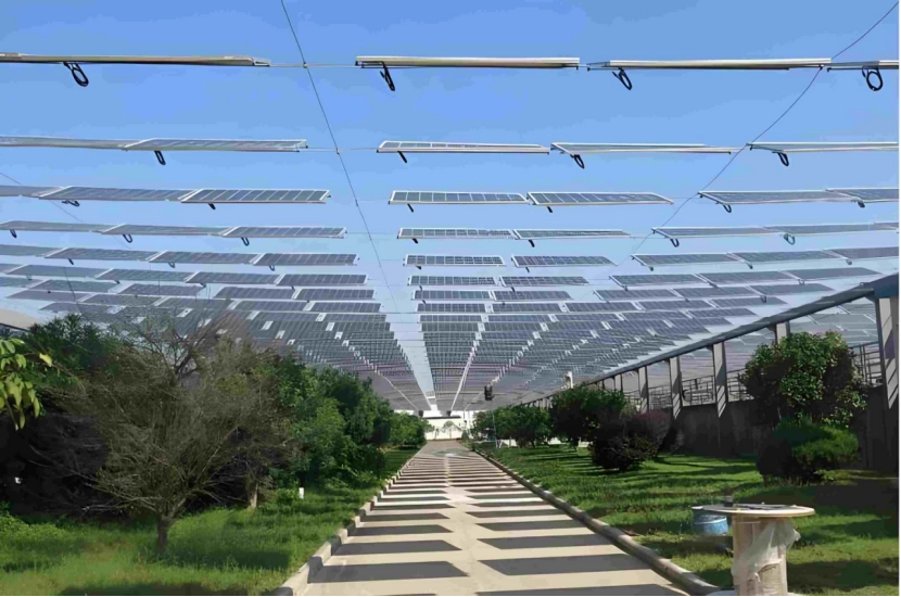 Flexible solar mounting support in Agriculture