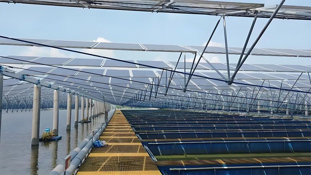 fixed-tilt-solar-modules-steel-rails